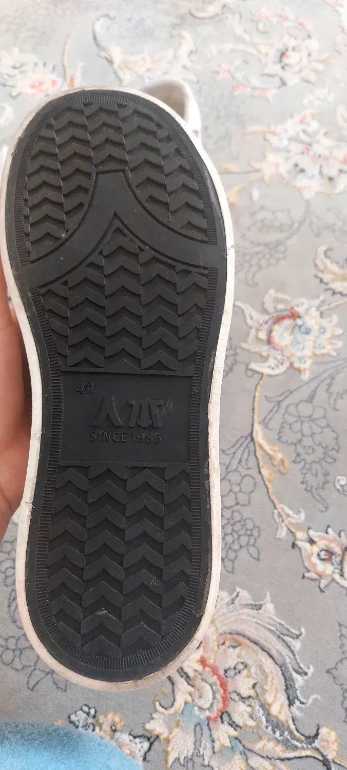 اسپرت عروس|کیف، کفش، کمربند|طبس, |دیوار