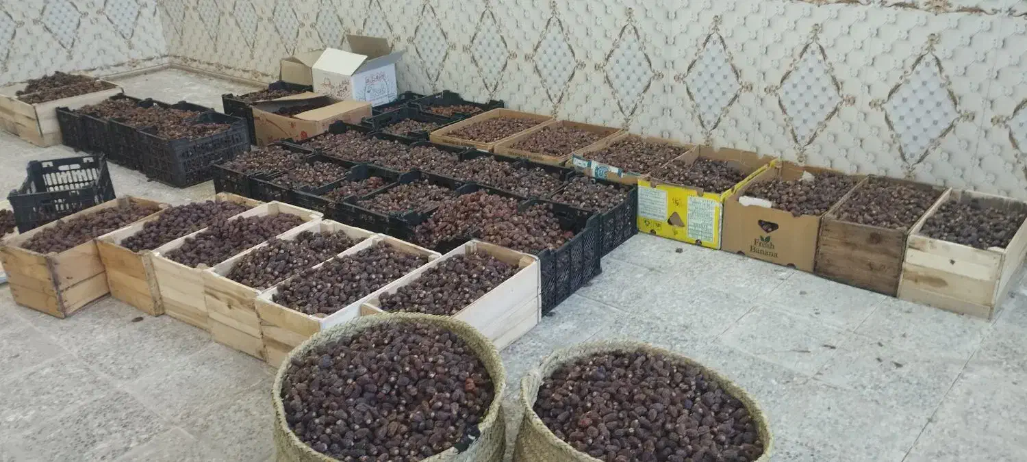 خرمای درجه یک بریم|حراج|شادگان, |دیوار