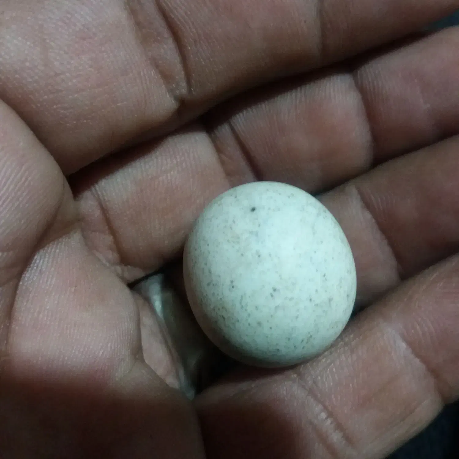 سنگ آسیاب|کلکسیون اشیاء عتیقه|زابل, |دیوار