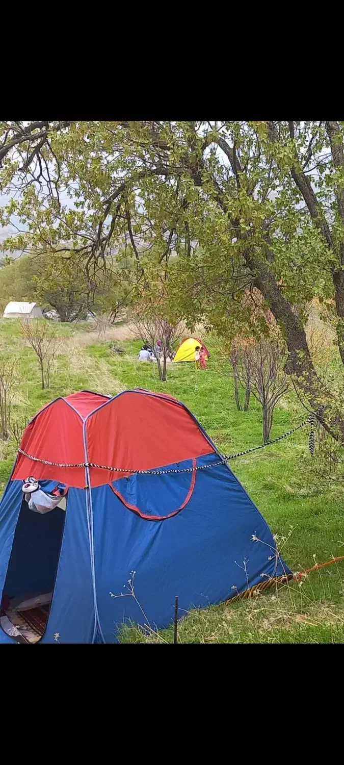 سلام چادر مسافرتی نو نو|کوهنوردی و کمپینگ|ایلام, |دیوار