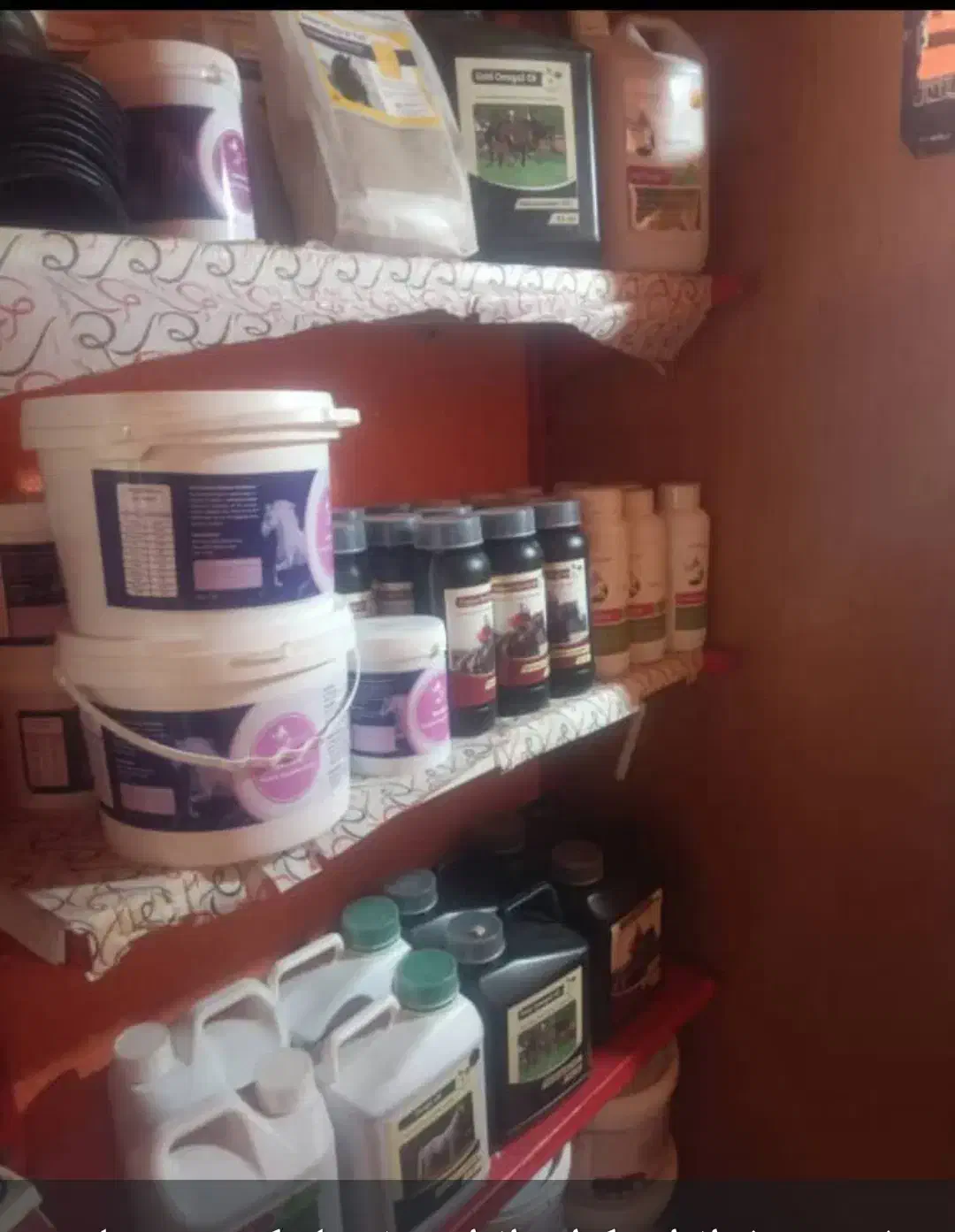 فروش ویژه مکمل و کنسانتره اسب|اسب و تجهیزات اسبسواری|داراب, |دیوار