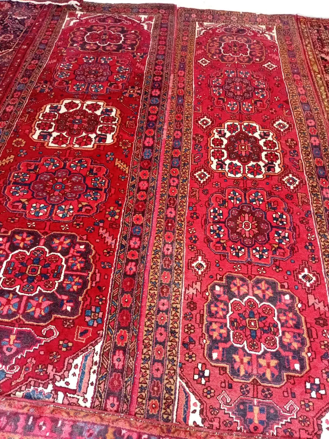 فرش کناره دستبافت|فرش|اهر, |دیوار