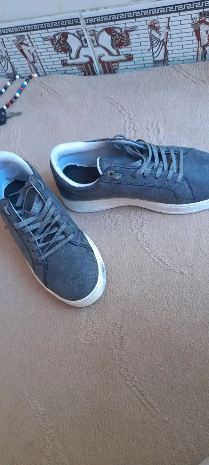 ونس فوم|کیف، کفش، کمربند|قم, ولیعصر|دیوار