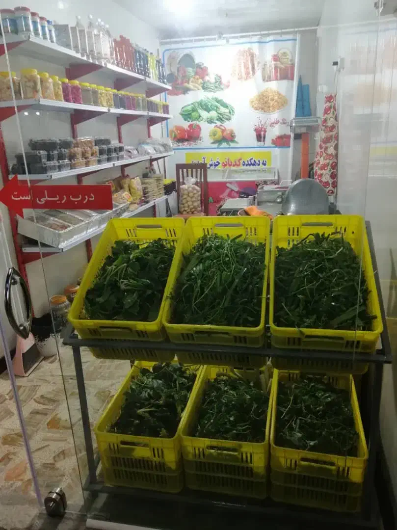 استخدام فروشنده|استخدام خدمات فروشگاه و رستوران|مشهد, شهید رضوی|دیوار