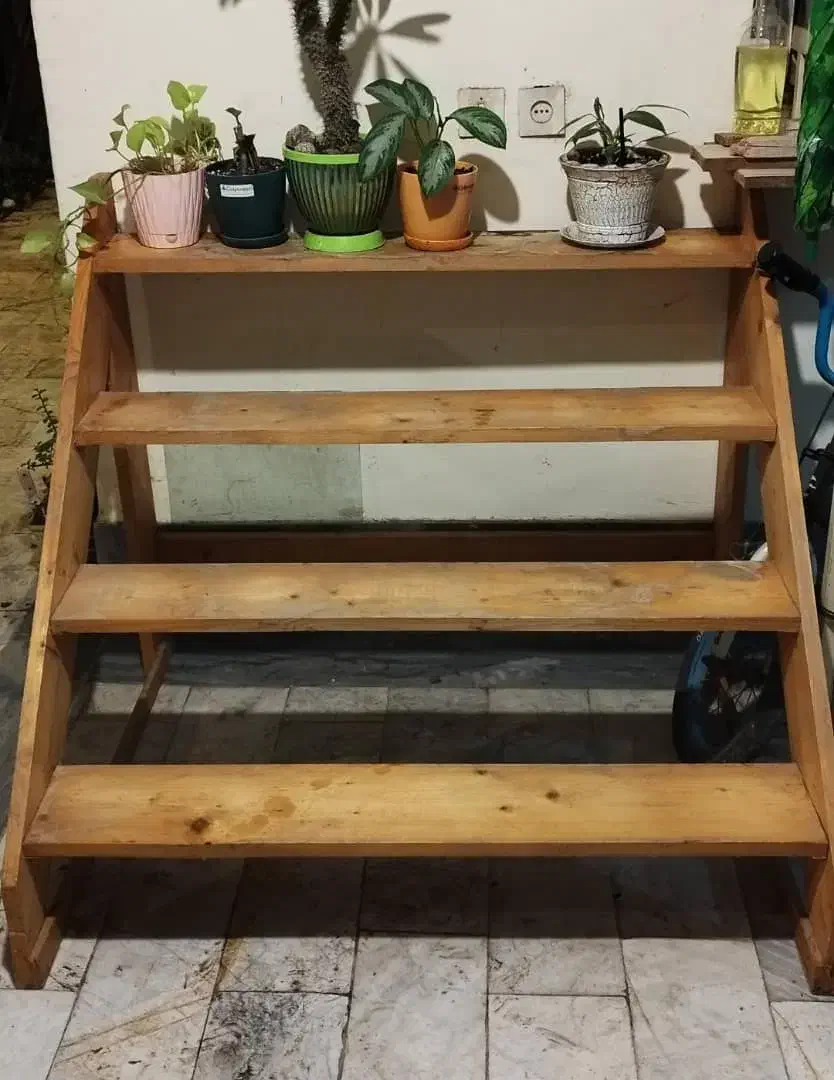 استند گل چوبی پله ای چوب نرّاد|گل و گیاه طبیعی|آمل, |دیوار