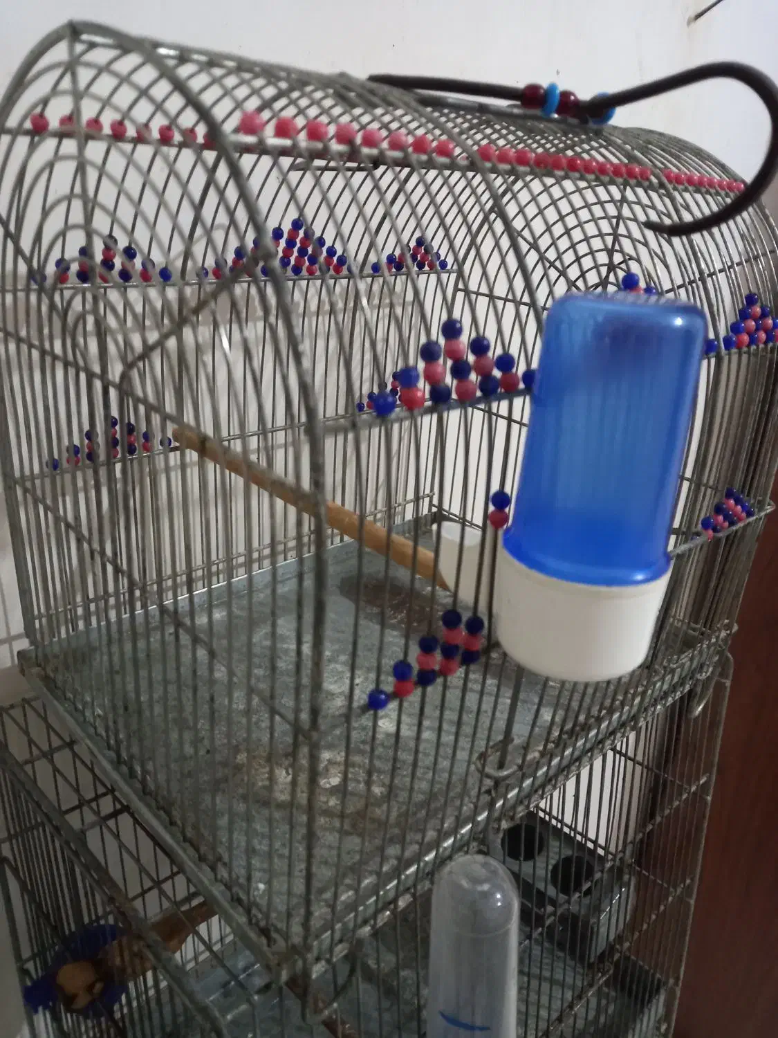 سهره قفس|لوازم جانبی حیوانات|رشت, لاکان|دیوار