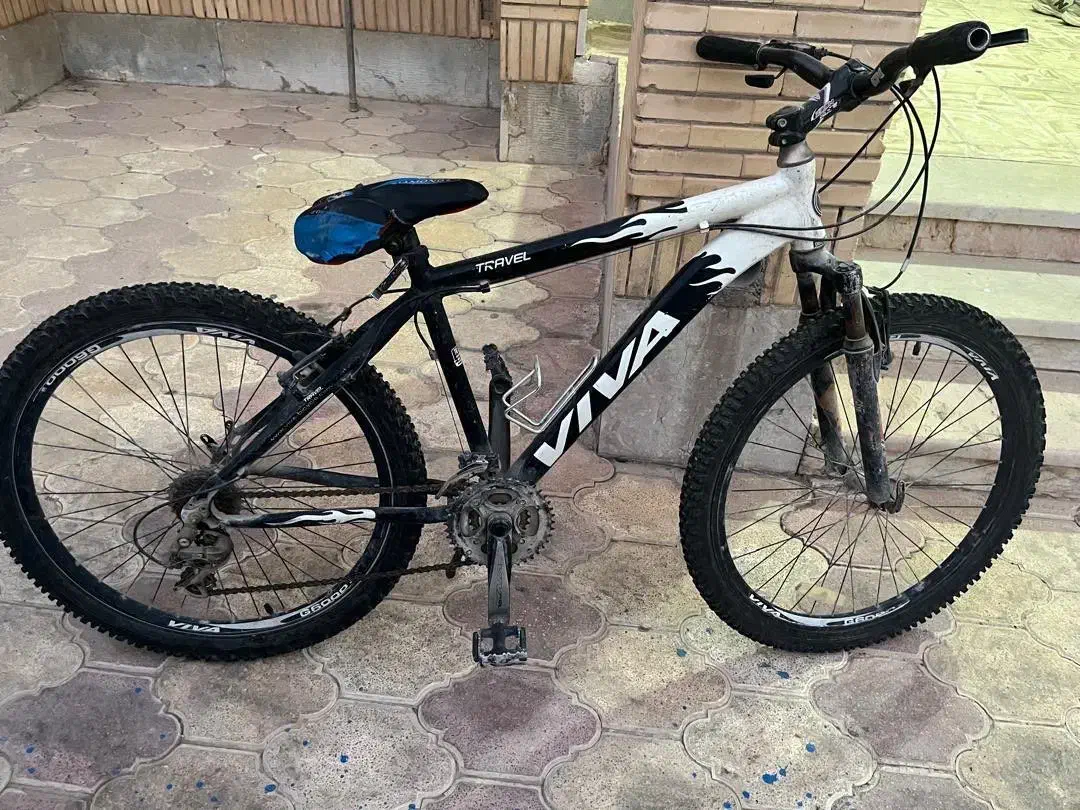 دوچرخه ویوا ۲۶|دوچرخه، اسکیت، اسکوتر|بندر کنگان, |دیوار