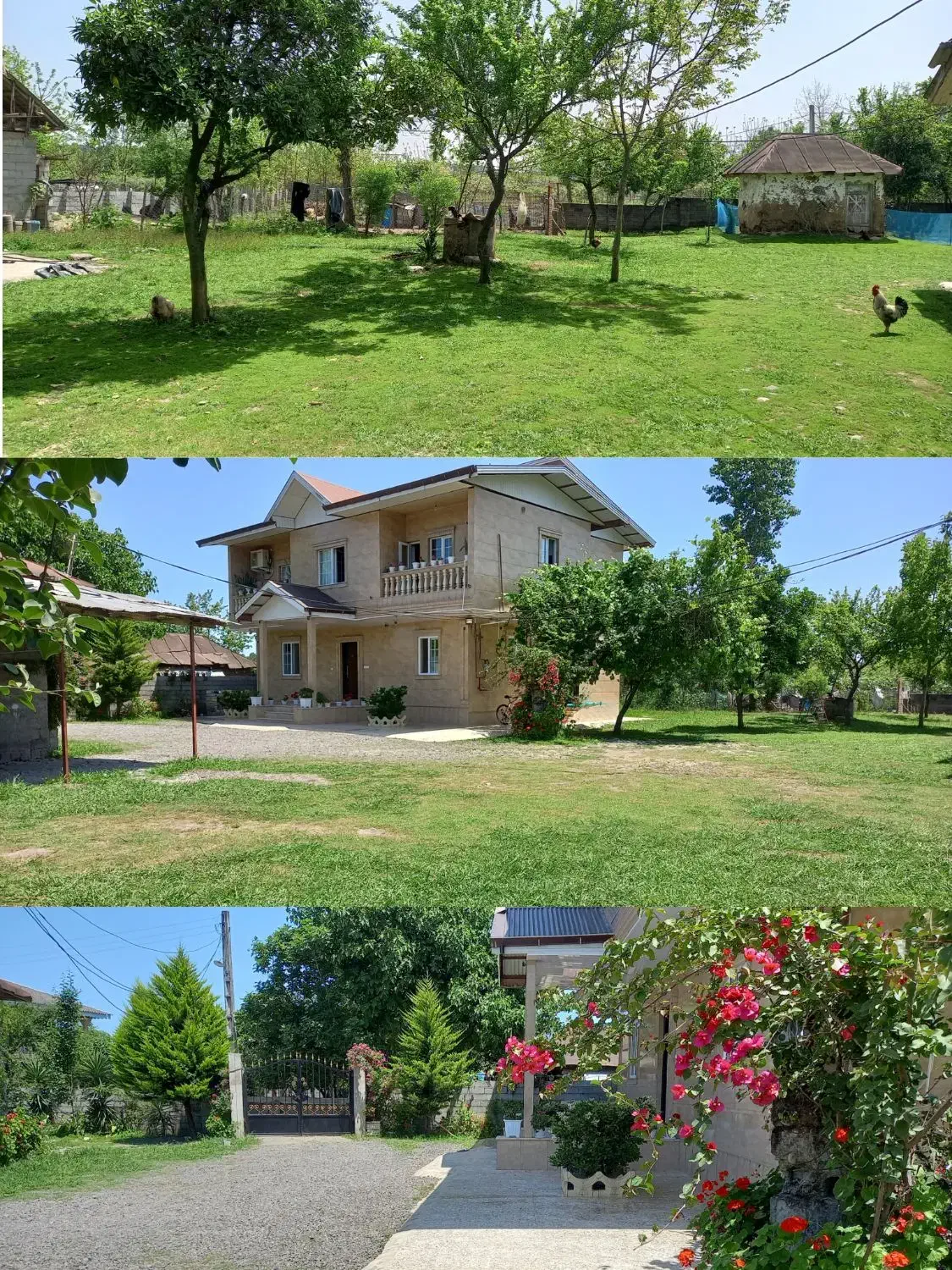 ویلا باغ،۲خوابه حیاط دار،پارکینگ دار،درشهر تالش.|اجارهٔ کوتاهمدت آپارتمان و سوئیت|تالش, هشتپر|دیوار