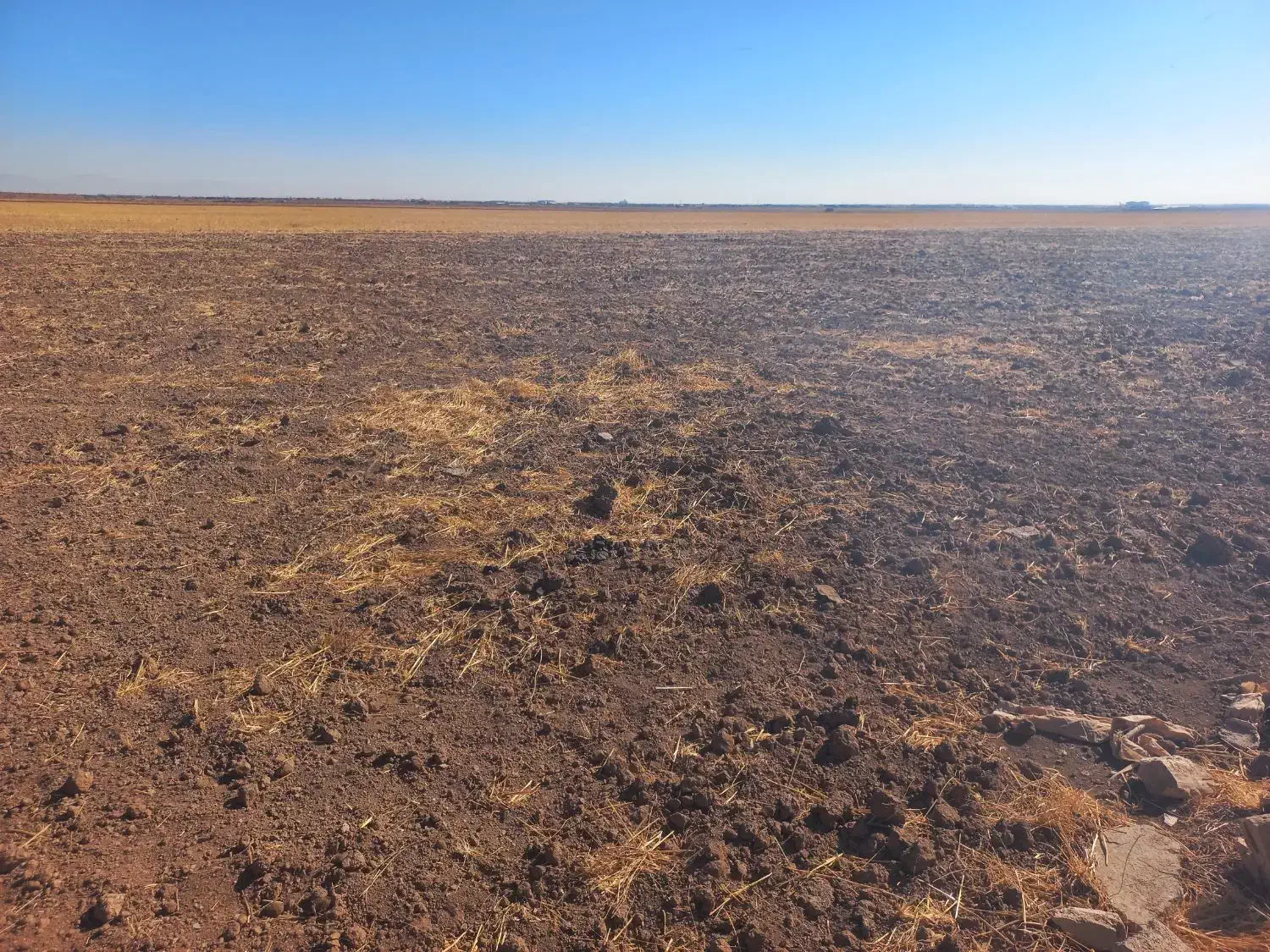 زمین کشاورزی ۳۸ هکتاری|فروش دفتر صنعتی، کشاورزی، تجاری|تاکستان, |دیوار