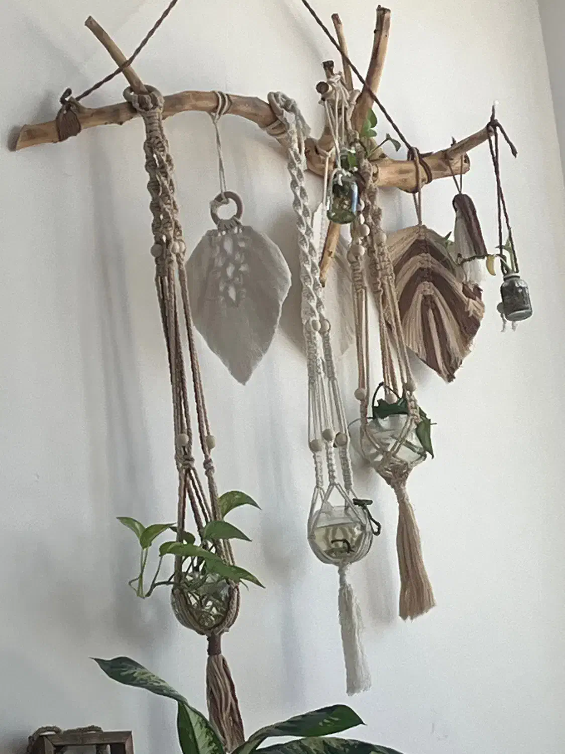 اویز گل|صنایع دستی و سایر لوازم تزئینی|قم, شهر قائم|دیوار