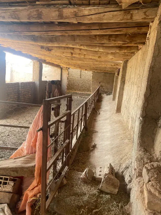 دامداری دوهزارمتر دور دیوار با امکانات کامل|فروش دفتر صنعتی، کشاورزی، تجاری|نیشابور, فضل|دیوار