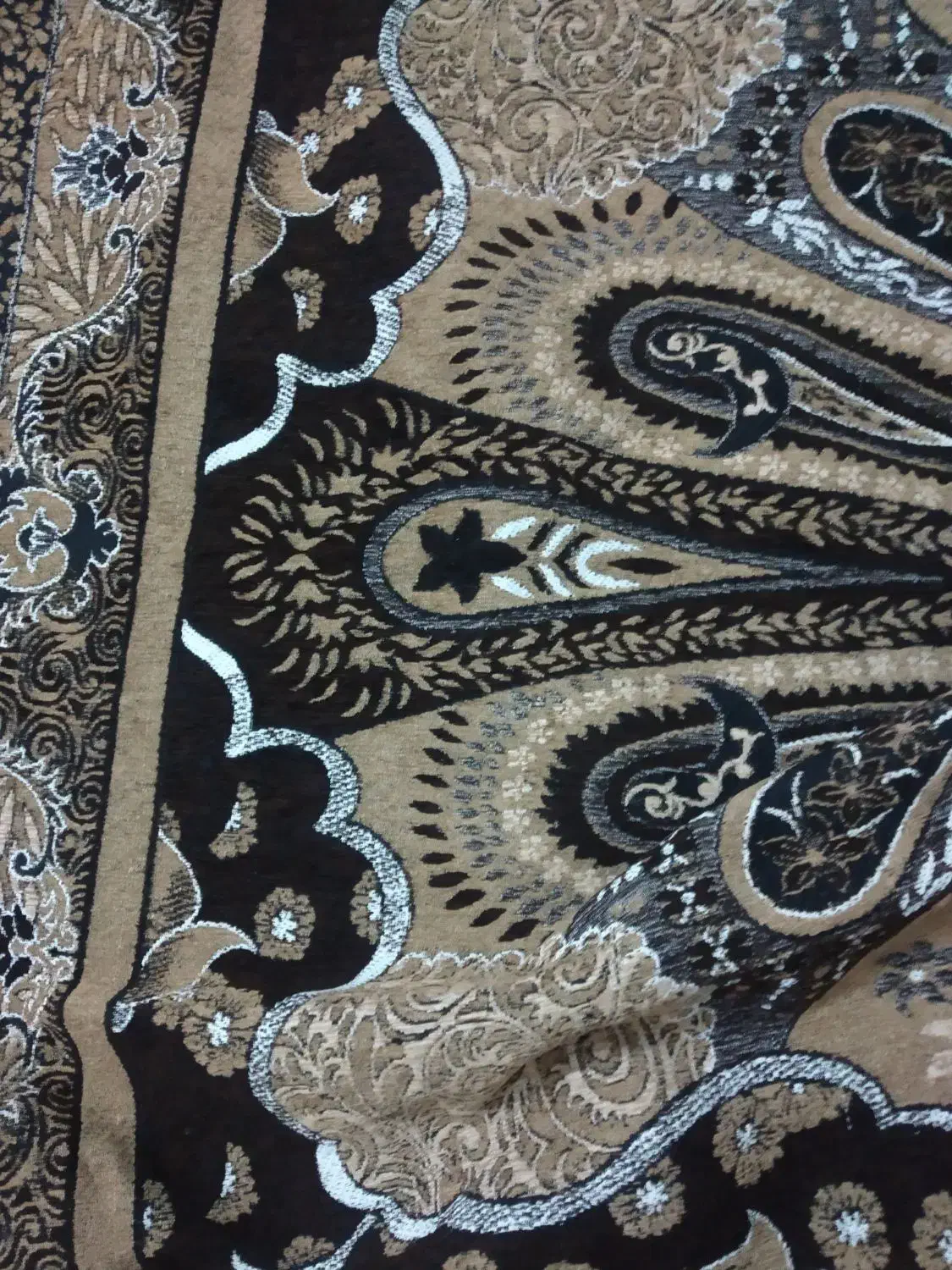 روفرشی|روفرشی|ایرانشهر, |دیوار