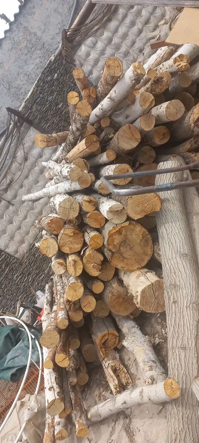 خرید چوب باغی. تخته. هرسکاری. سقفی|خدمات باغبانی و درختکاری|شیراز, گویم|دیوار