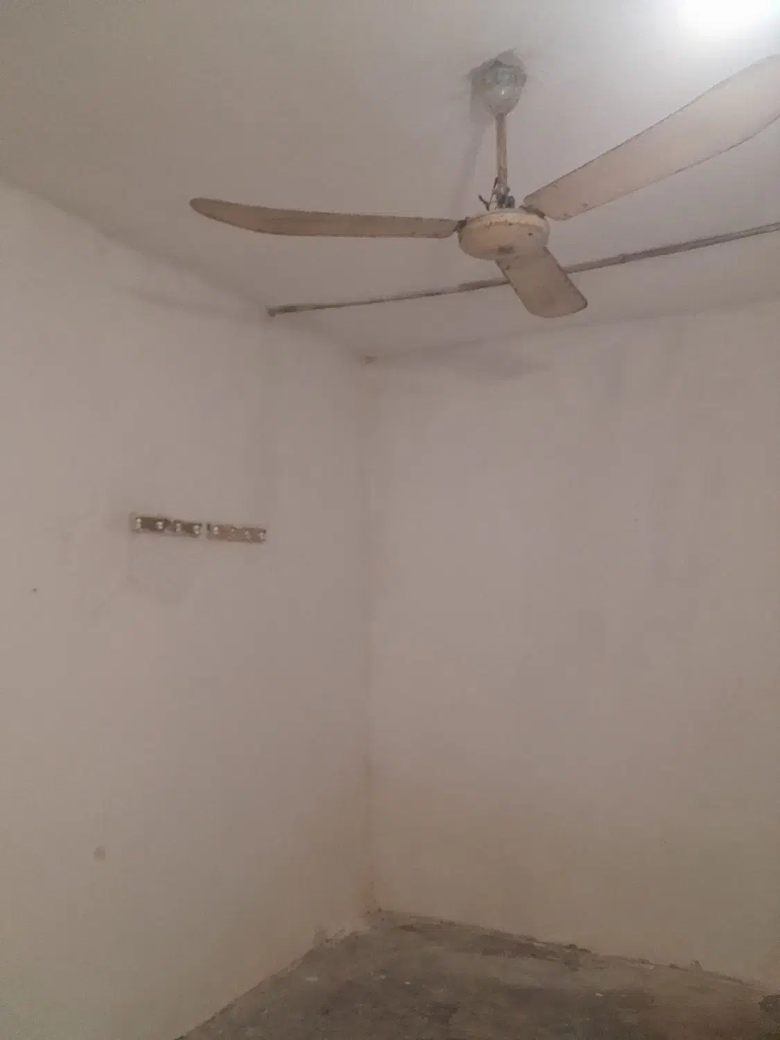 اجاره یک واحد خانه ویلای باحیات|اجارهٔ خانه و ویلا|تلو, |دیوار