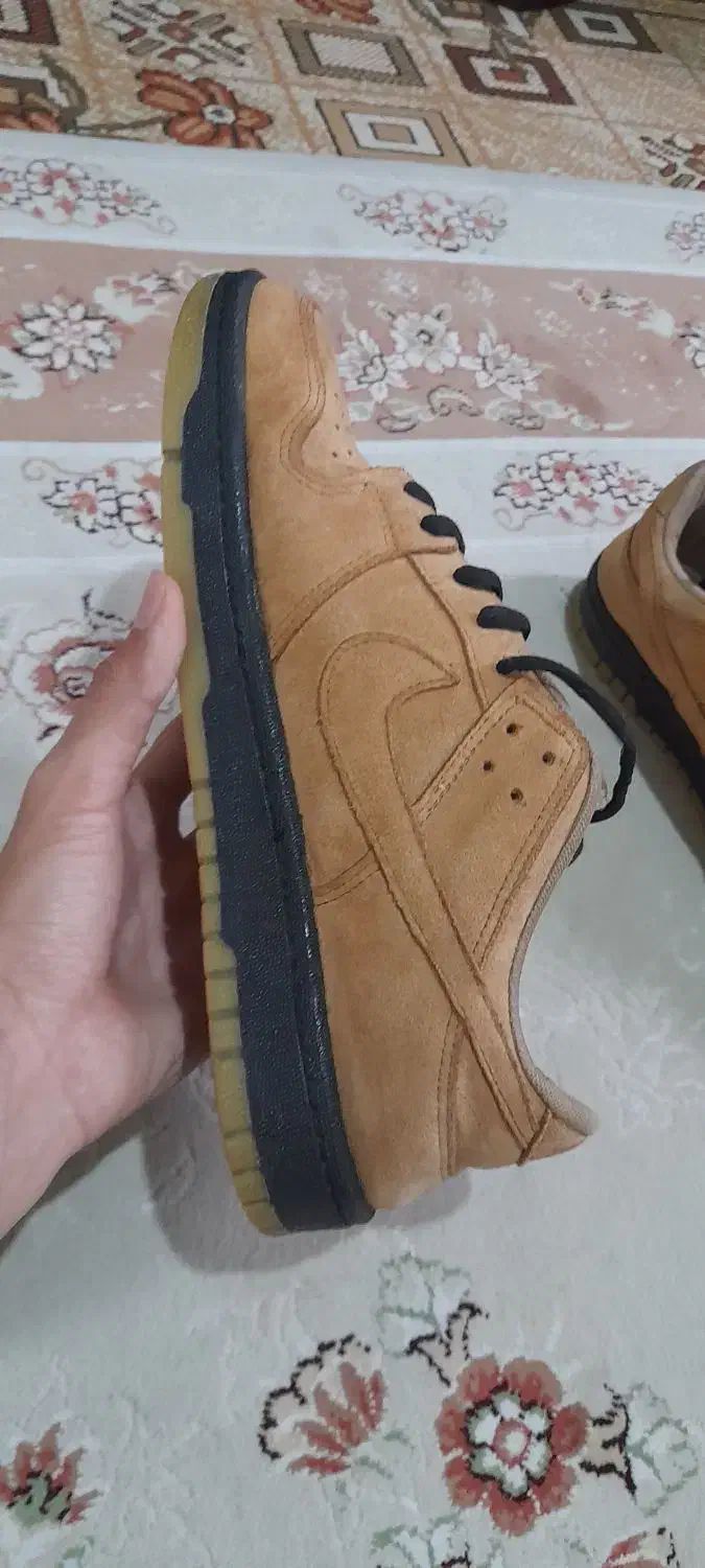 کتونی نایک ساق کوتاه|کیف، کفش، کمربند|قدس, شهر‌قدس|دیوار