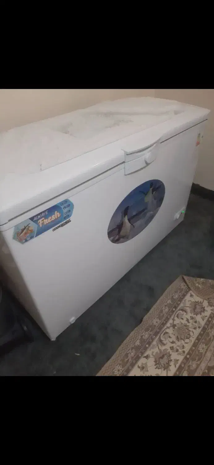 فروش یخچال و فریزر|یخچال و فریزر|جم, |دیوار