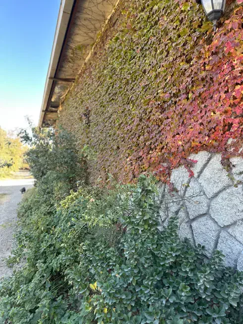 نگهبان تمام وقت|استخدام سرایداری و نظافت|فردوسیه, |دیوار