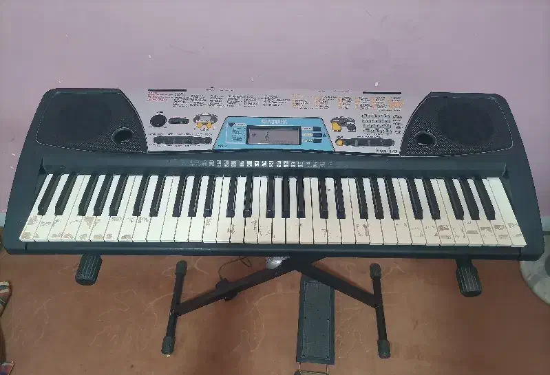 ارگ (پیانو)|پیانو، کیبورد، آکاردئون|سنندج, |دیوار