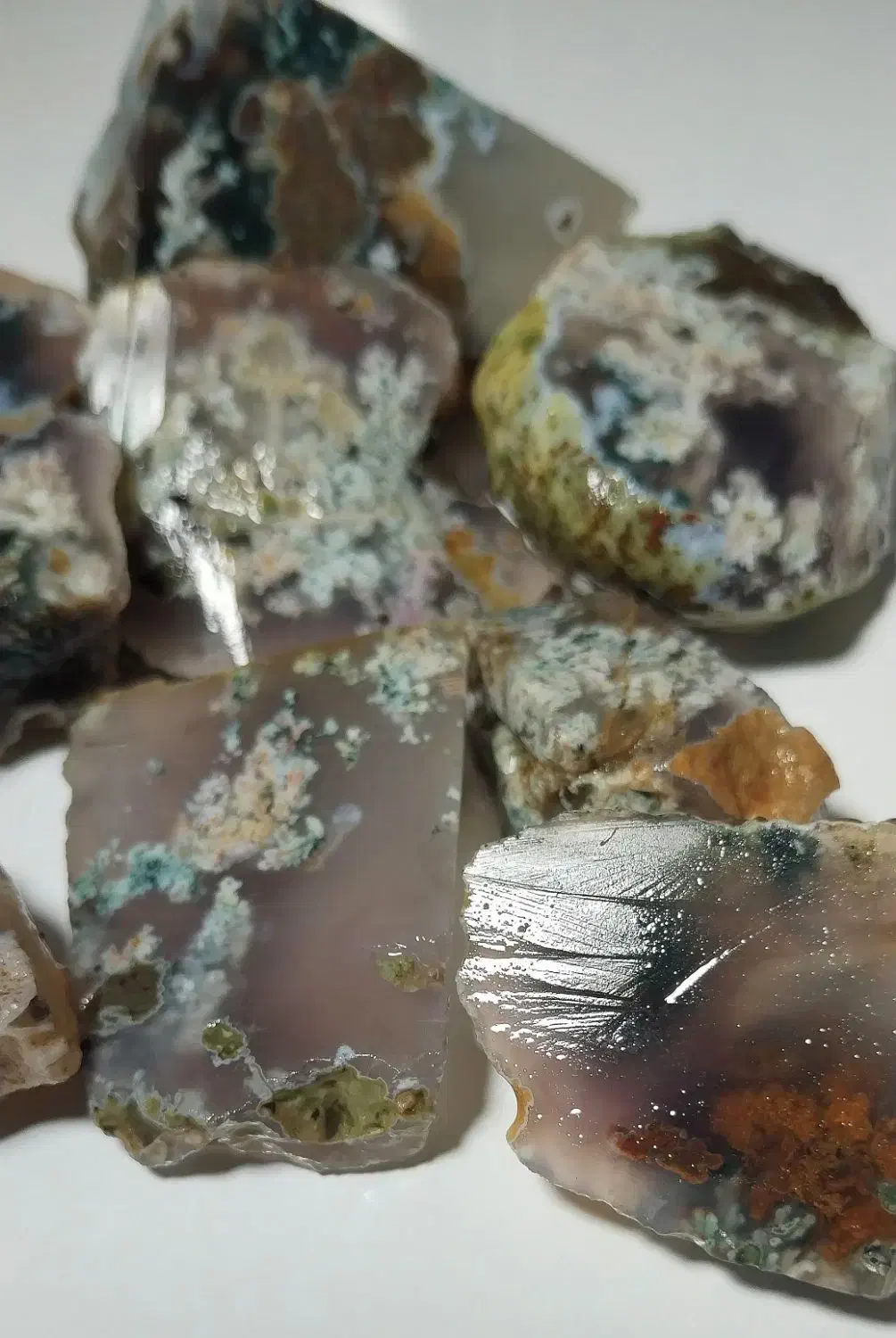 شجر هفت رنگ خاص|بدلیجات|فردوس (خراسان), |دیوار