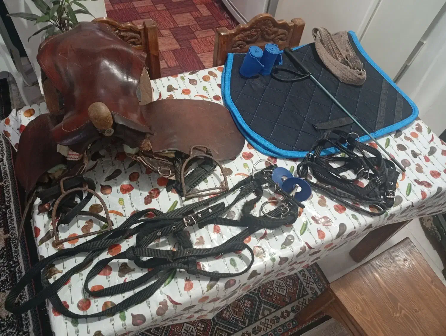 زین اسب|اسب و تجهیزات اسبسواری|تولم شهر, |دیوار