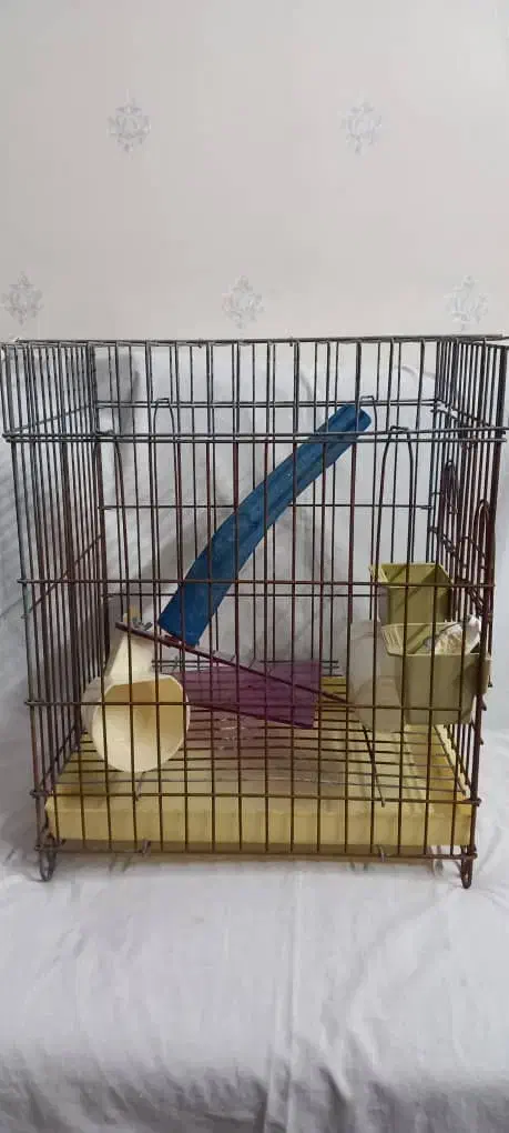 قفس طوطی|لوازم جانبی حیوانات|کرج, فاز ۴ مهرشهر|دیوار