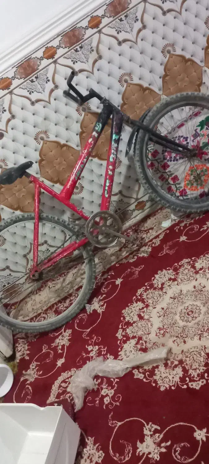 دوچرخه و لالای سماور|دوچرخه، اسکیت، اسکوتر|خاش, |دیوار