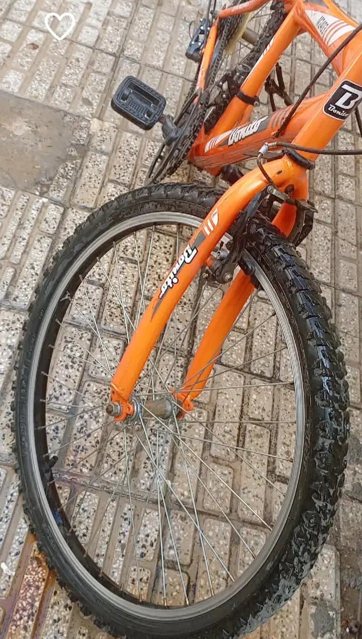 دوچرخه|دوچرخه، اسکیت، اسکوتر|اراک, |دیوار