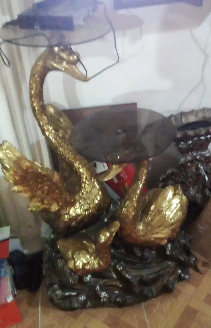 مجسمه قو|مجسمه، تندیس، ماکت|آستارا, |دیوار