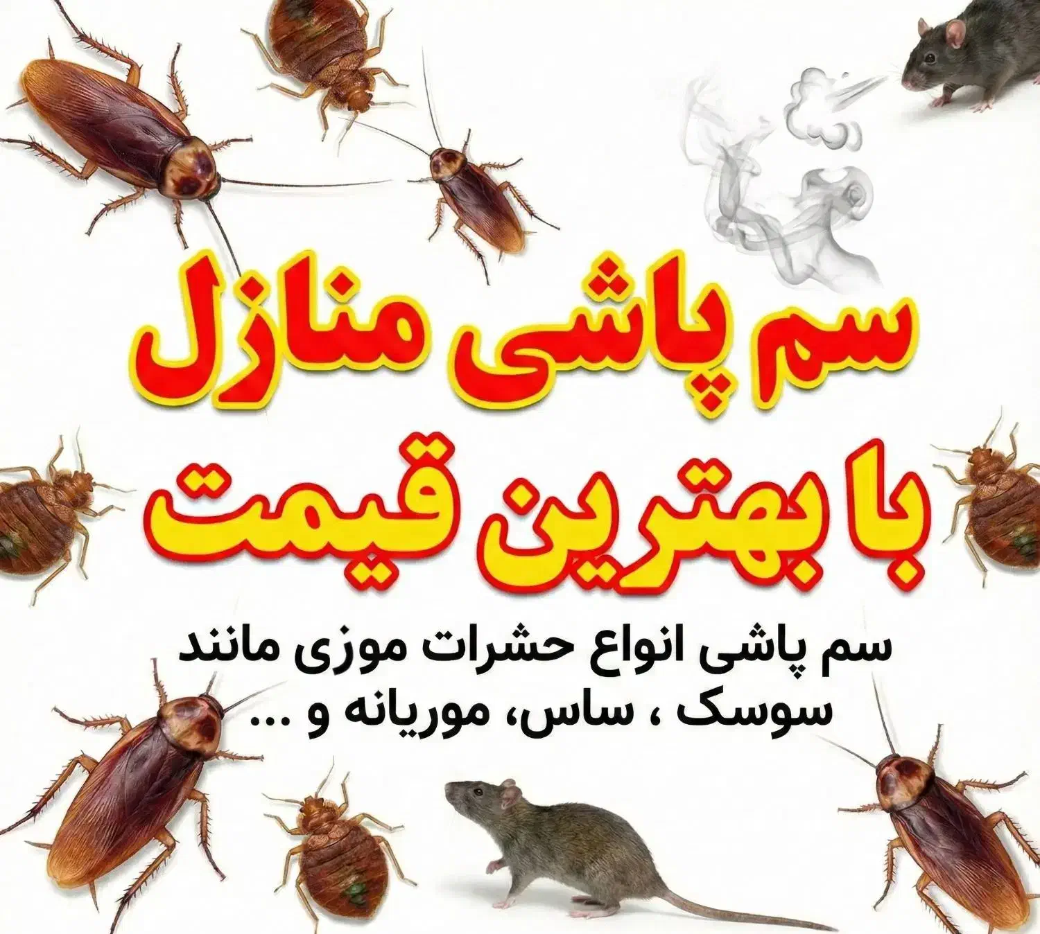 سمپاشی منازل وادارات|خدمات نظافت|بندرعباس, |دیوار