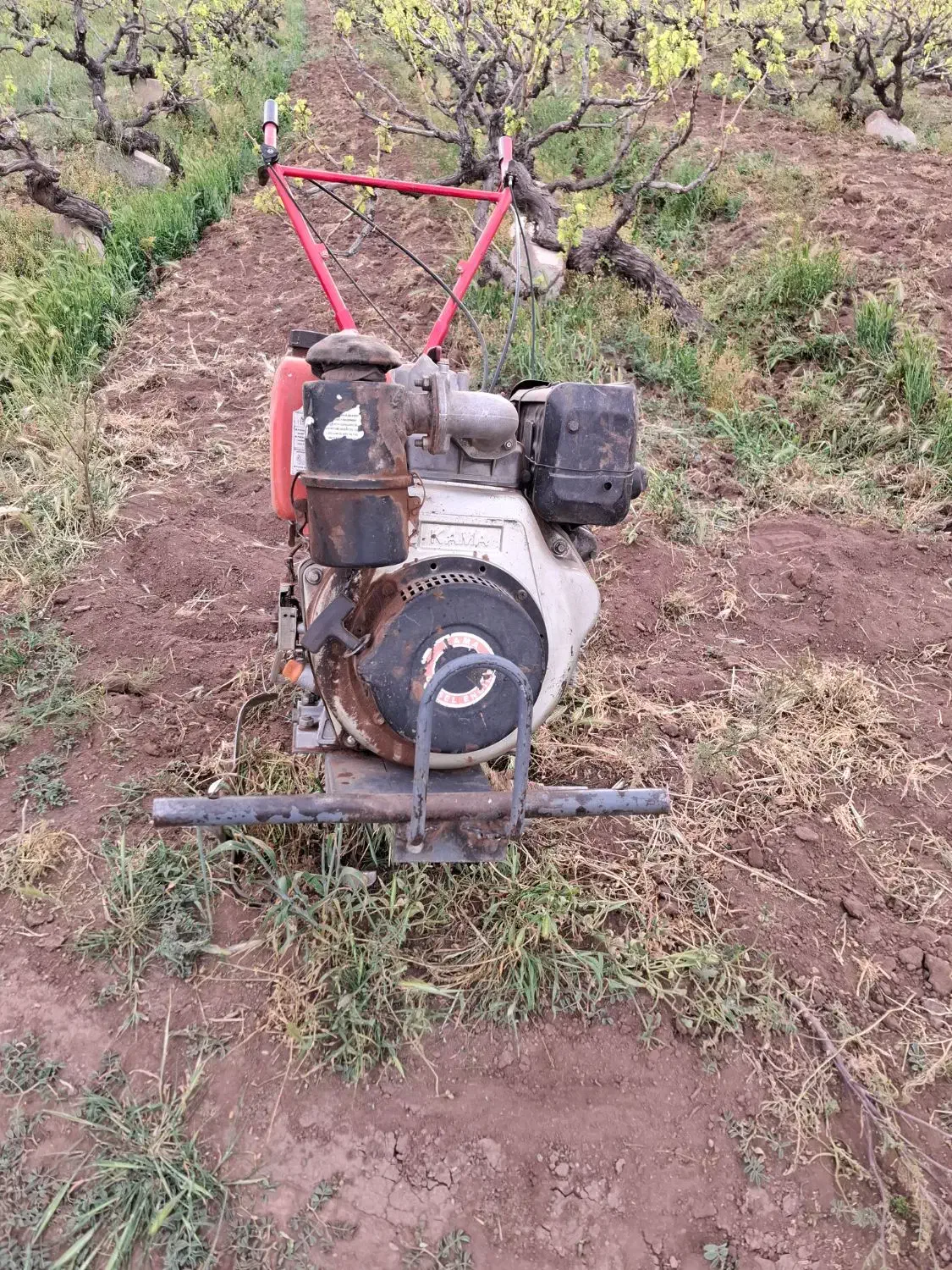 تیلر 10 اسب کاما|ماشین‌آلات صنعتی|اقبالیه, |دیوار