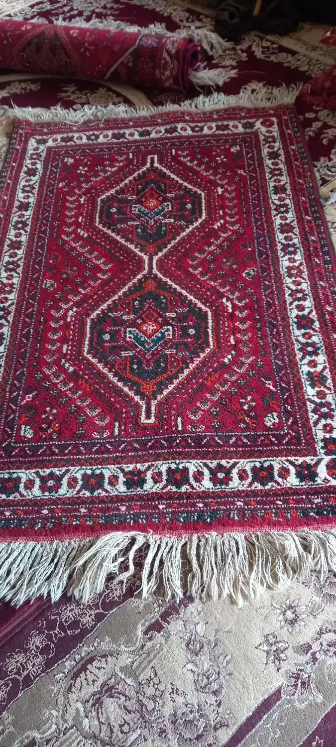 قالی دست باف|فرش|جهرم, |دیوار