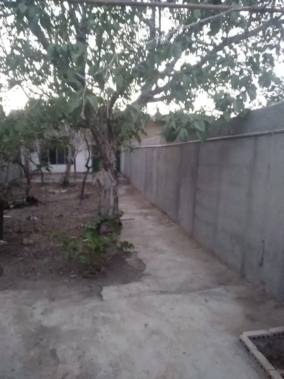 فروش دودستگاه حیاط ویلایی|فروش خانه و ویلا|بسطام, |دیوار