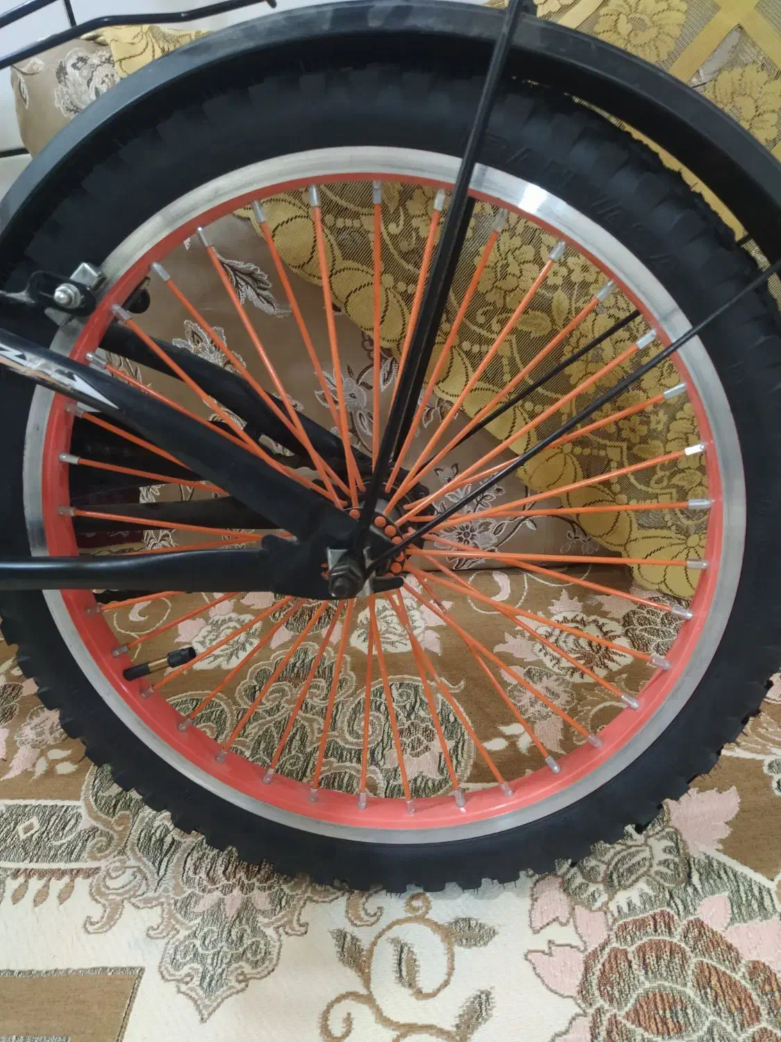 دوچرخه|دوچرخه، اسکیت، اسکوتر|شوشتر, |دیوار