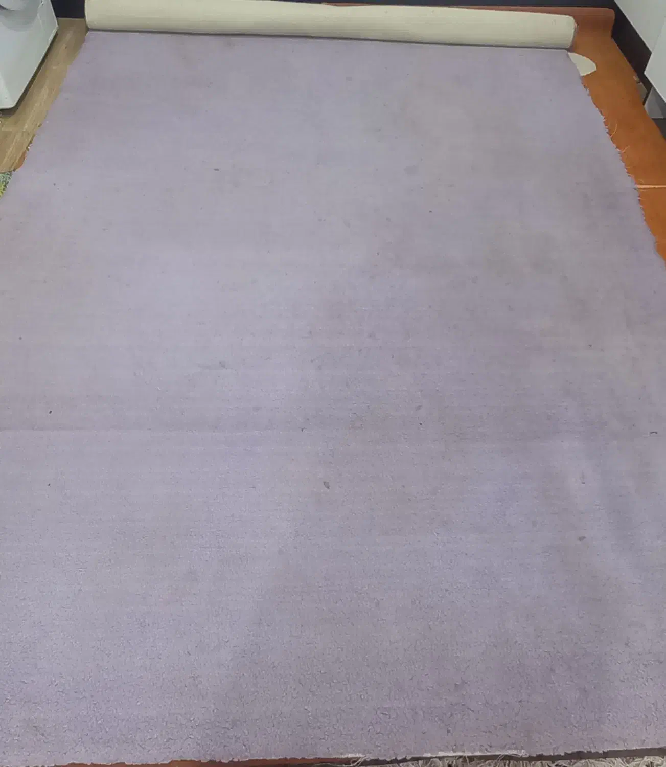 پالاز موکت ۶ متری|موکت|بندر ماهشهر, |دیوار