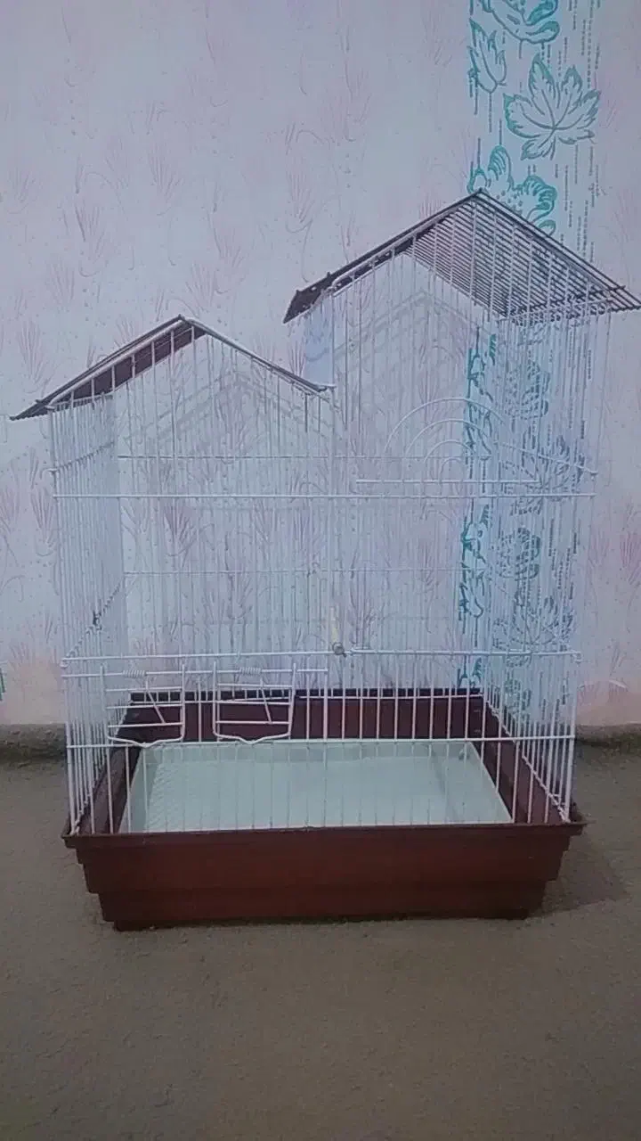 قفس|لوازم جانبی حیوانات|زابل, |دیوار
