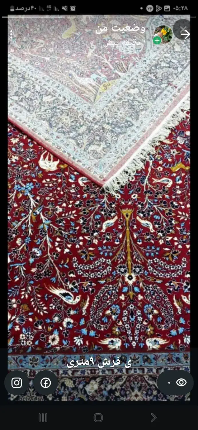 فرش|فرش|اهواز, شهرک دانشگاه|دیوار