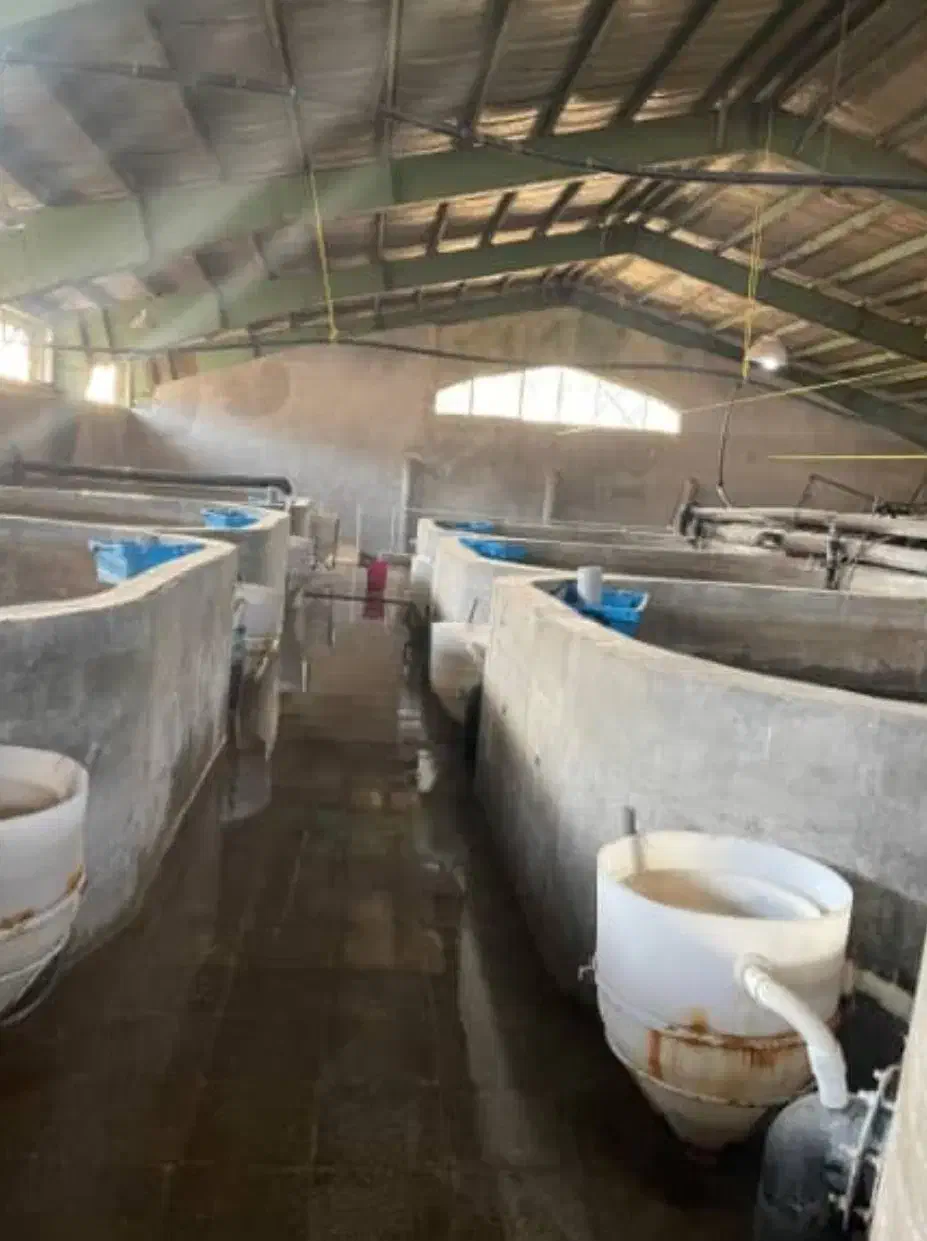 اجاره پرورش ماهی مداربسته کاملا مجهز|اجارهٔ دفتر صنعتی، کشاورزی، تجاری|دماوند, دماوند|دیوار