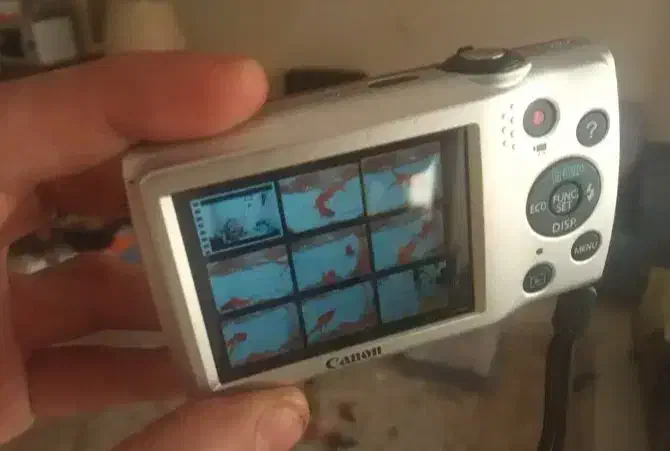 دوربین عکاسی،فیلمبرداری canon|دوربین عکاسی و فیلمبرداری|تهران, بلوار کشاورز|دیوار