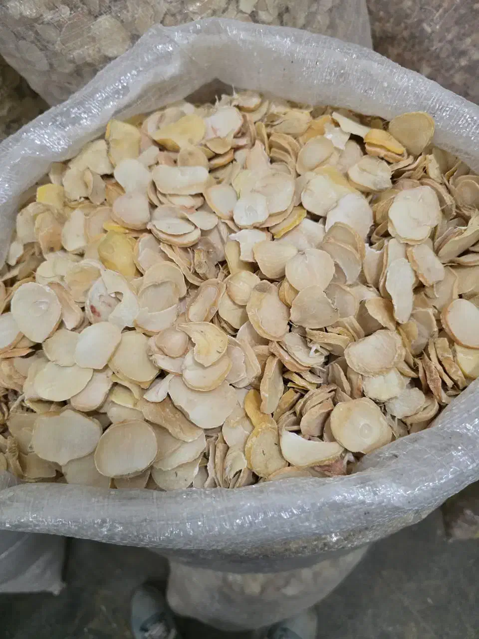 نیازمند موسیر|خدمات باغبانی و درختکاری|تهران, ونک|دیوار