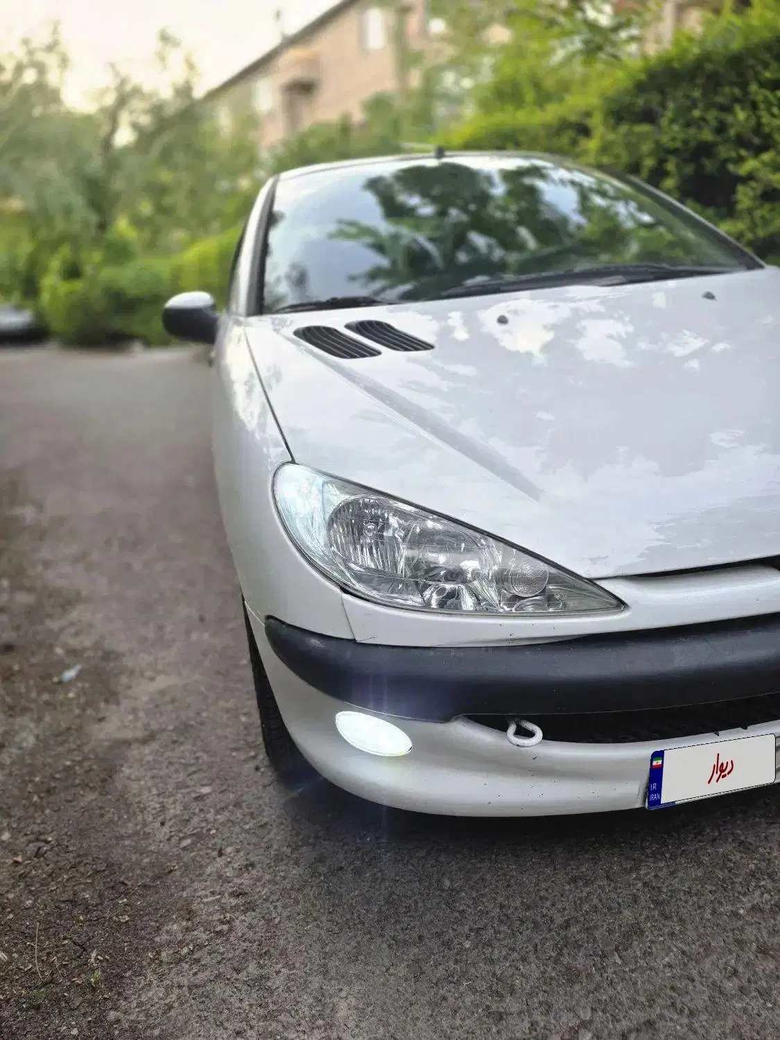 206sd  v8|خودرو سواری و وانت|تبریز, |دیوار