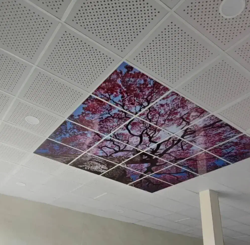 سقف کاذب وپی وی سی دنیایی از زیبایی وکیفیت|خدمات پیشه و مهارت|یاسوج, |دیوار