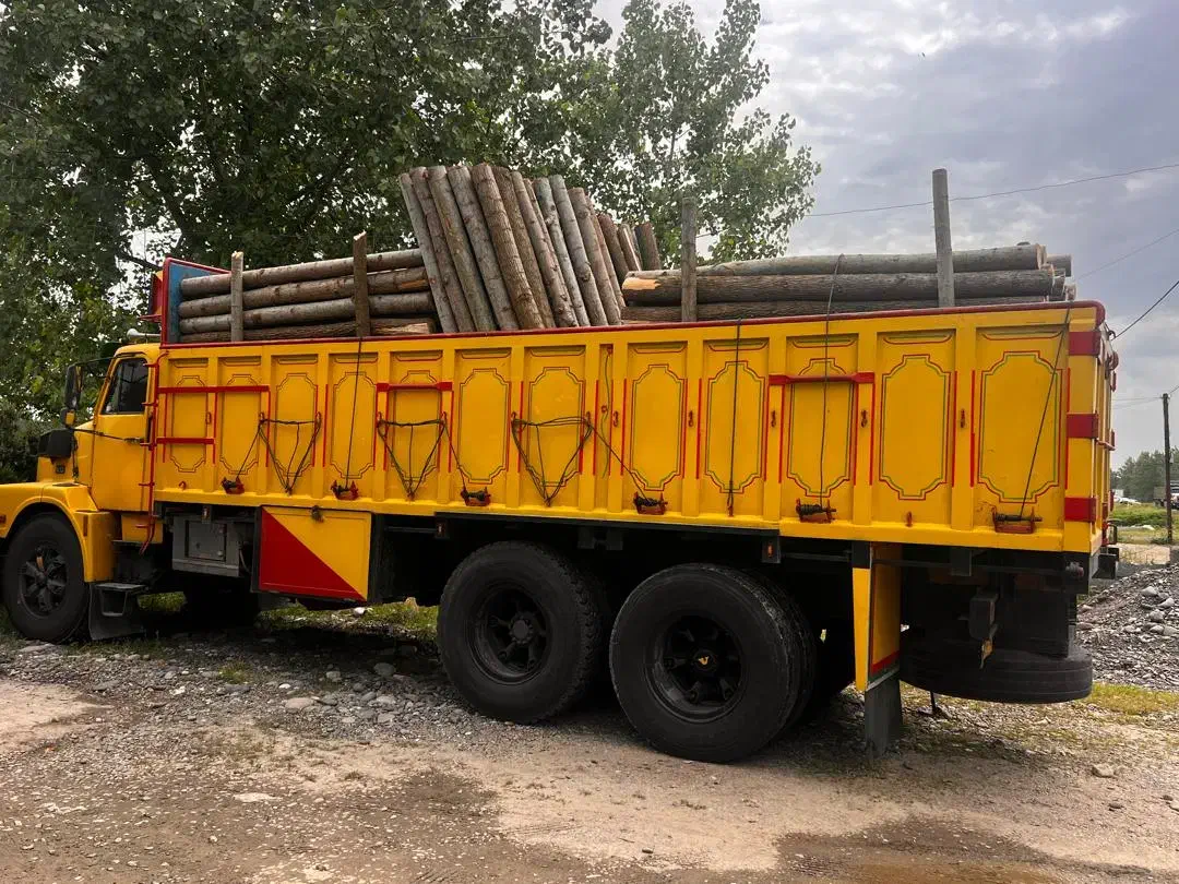 خریدار چوب درخت صنوبر|خدمات باغبانی و درختکاری|صومعهسرا, |دیوار