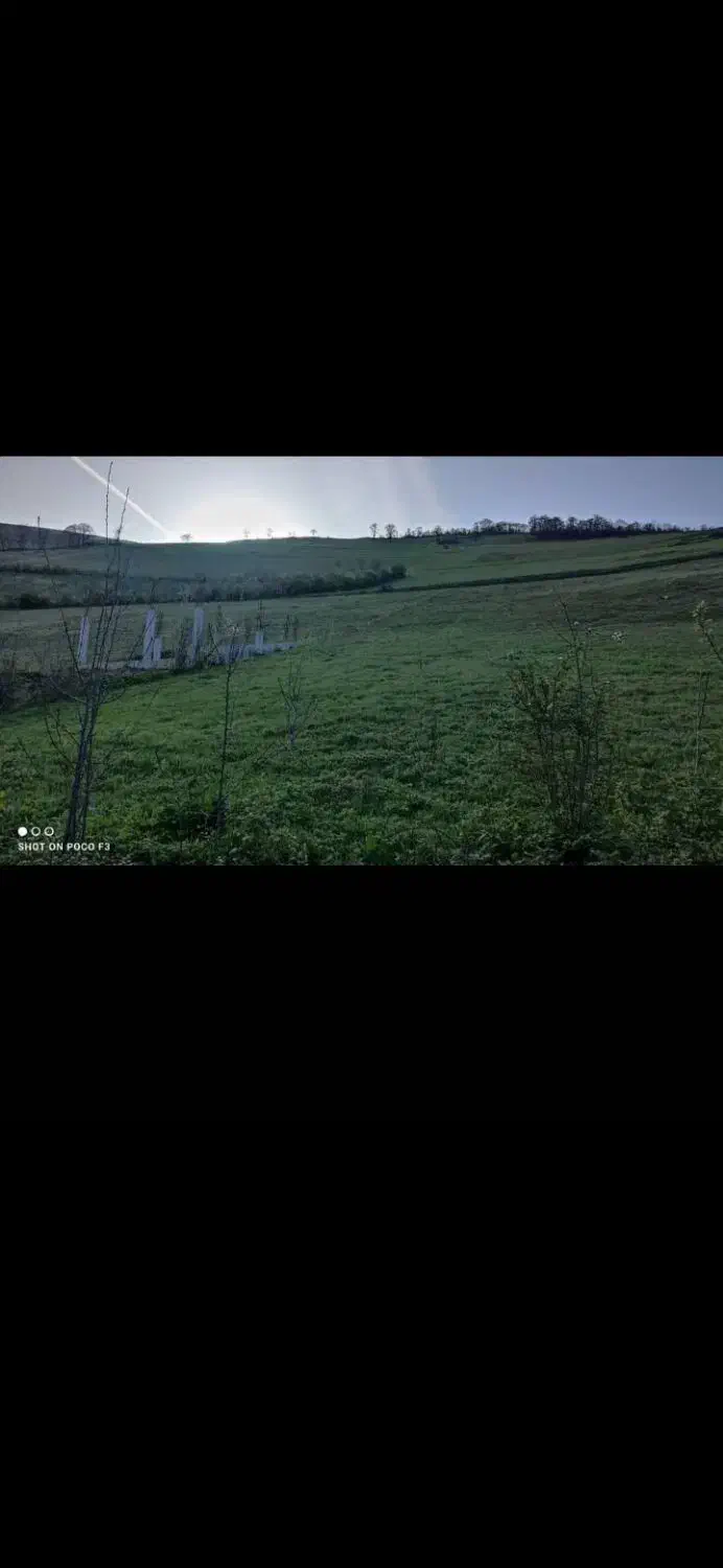 فروش زمین ویلای حیران|فروش زمین و ملک کلنگی|آستارا, |دیوار