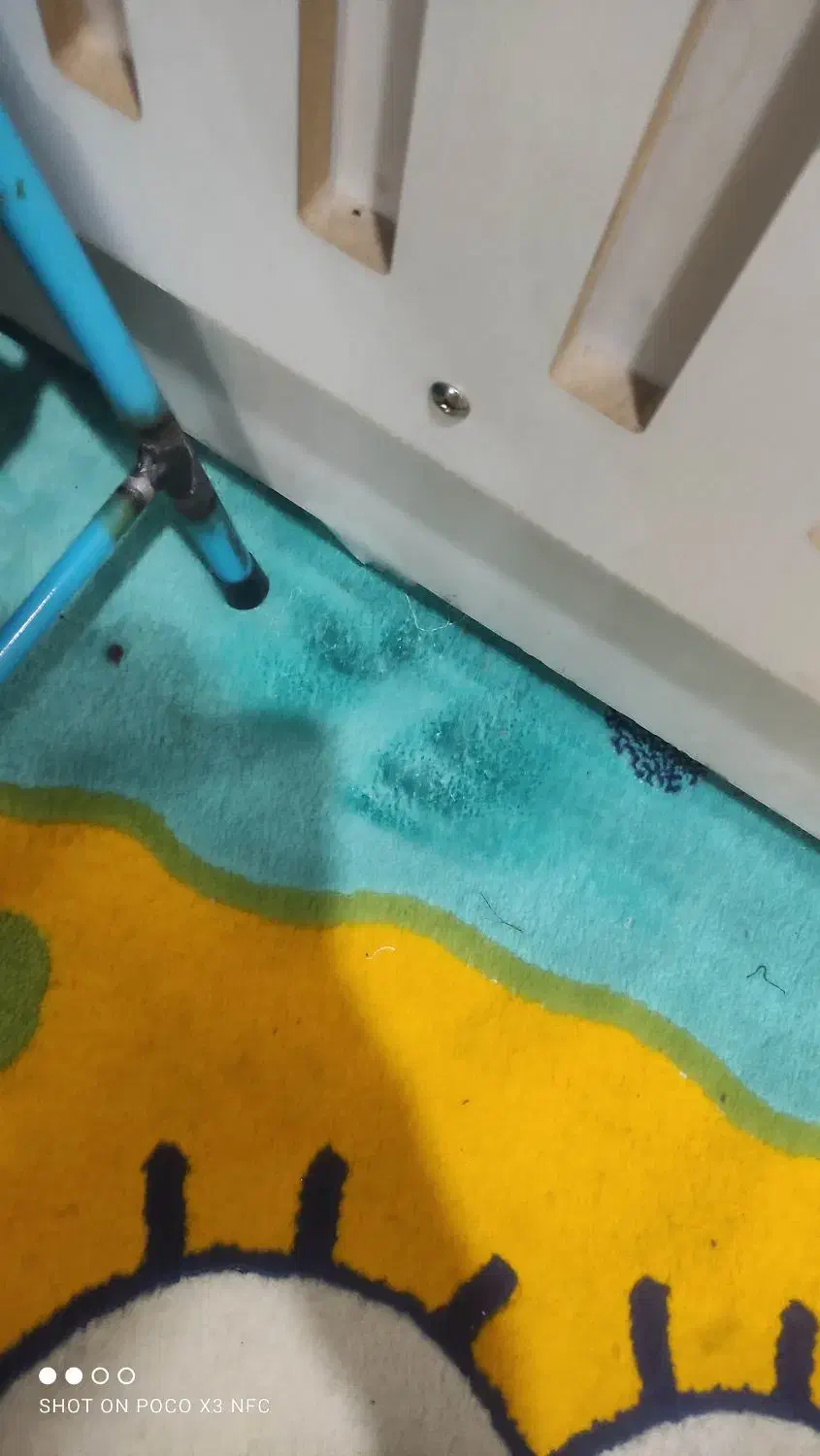 فرش|فرش|مشهد, کوی ولیعصر|دیوار