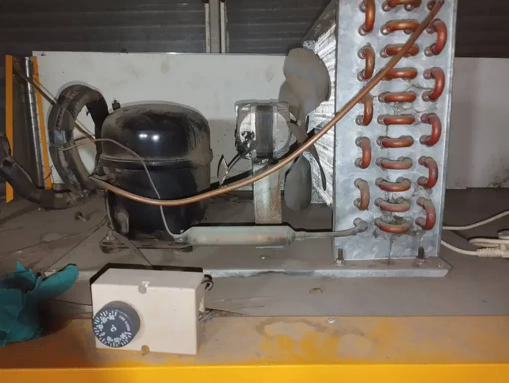 یخچال ویترینی|فروشگاه و مغازه|رودسر, |دیوار