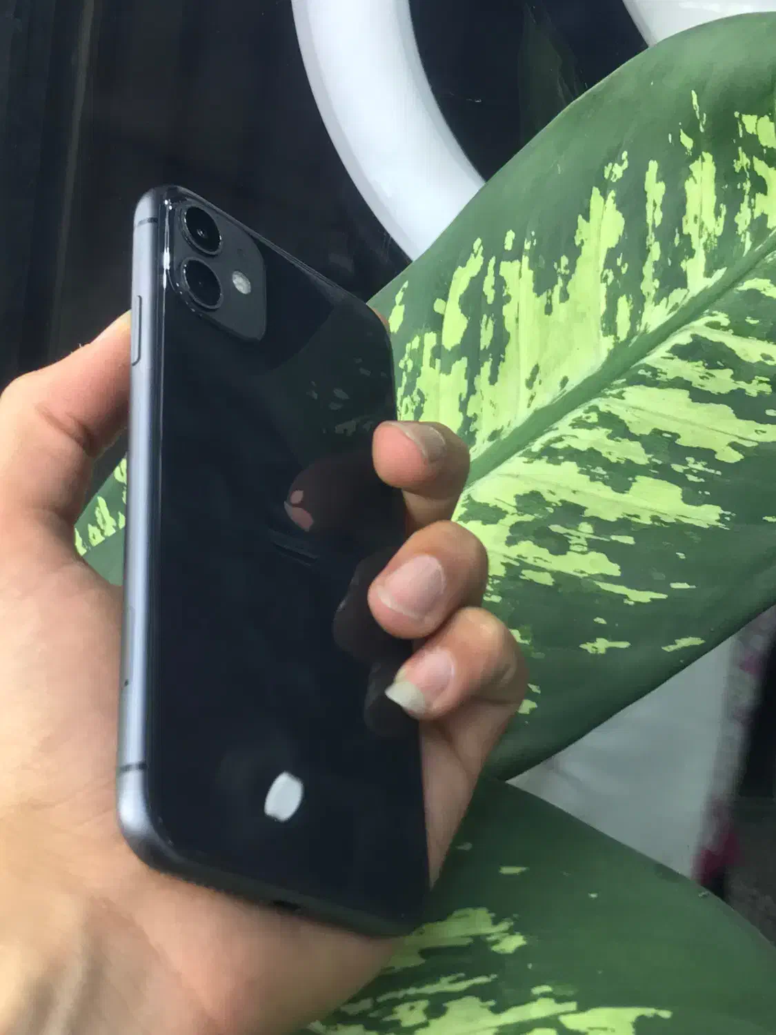 Iphone 11|موبایل|دزفول, |دیوار