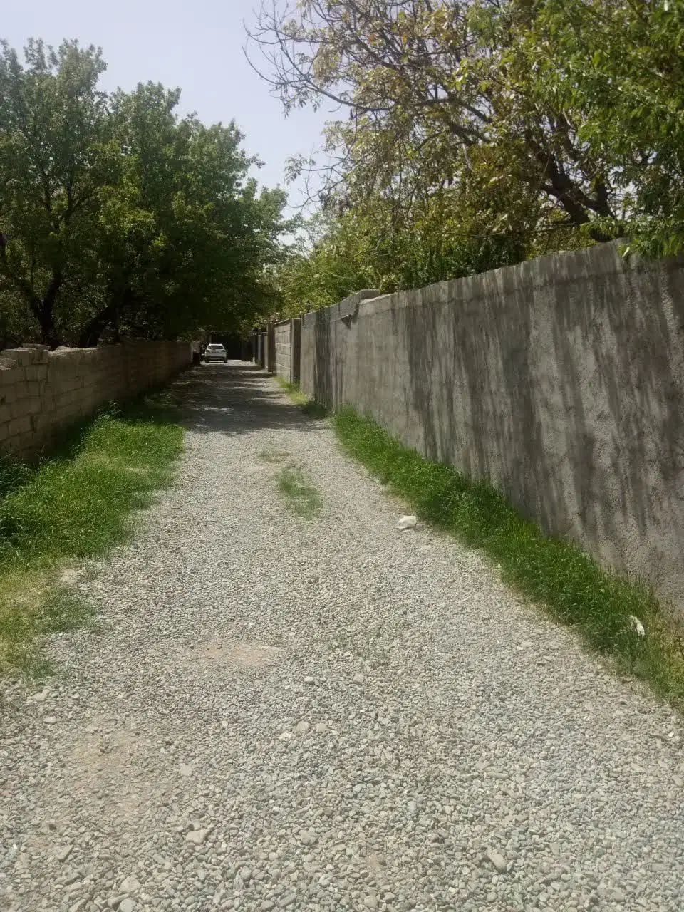 باغچه 500متری|فروش زمین و ملک کلنگی|محمدشهر, محمدشهر|دیوار