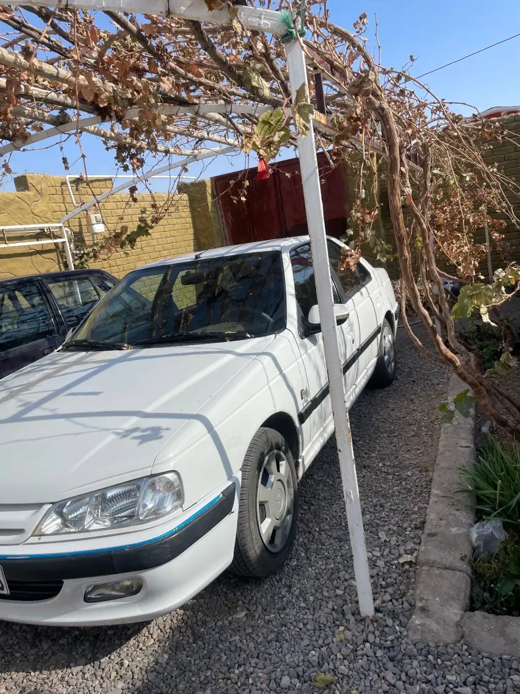 پارس مدل ۹۱|خودرو سواری و وانت|رفسنجان, |دیوار