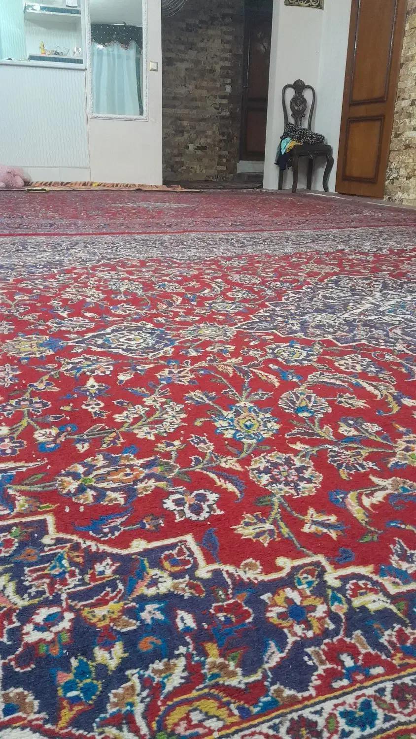 فرش دستباف ۱۲ متری|فرش|اردبیل, |دیوار