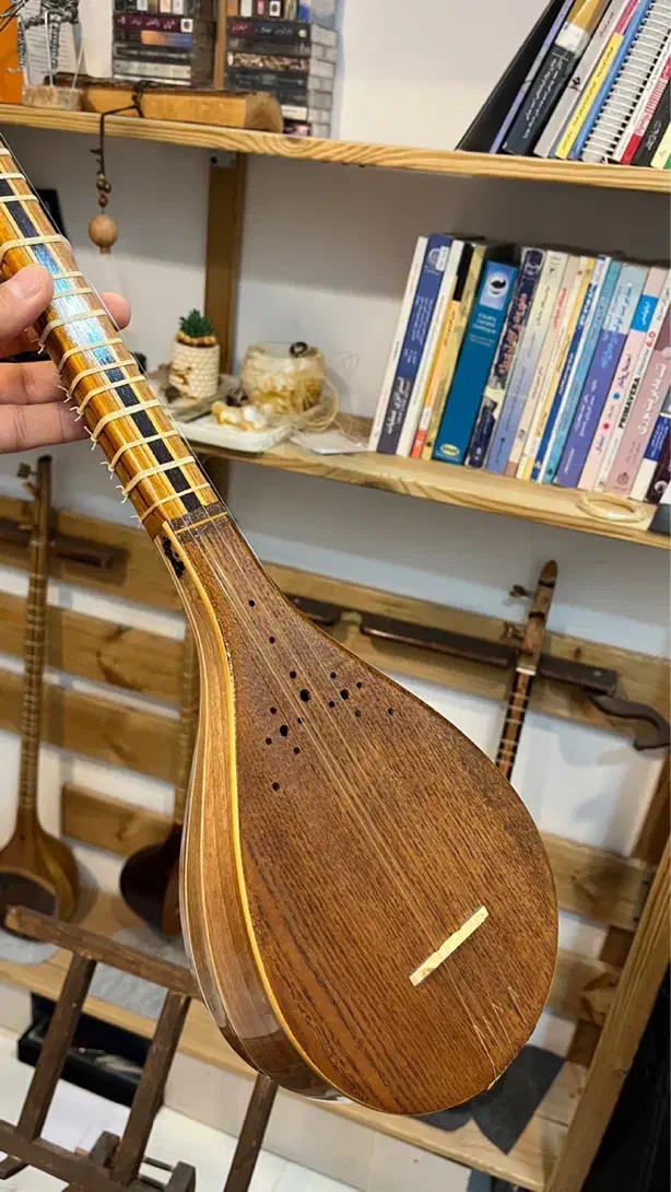 سه تار حرفه ای با مهر پالیزدار|سازهای سنتی|کرمان, |دیوار